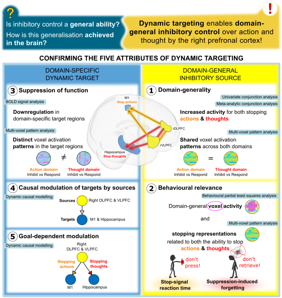 A new paper published in Nature Communications!